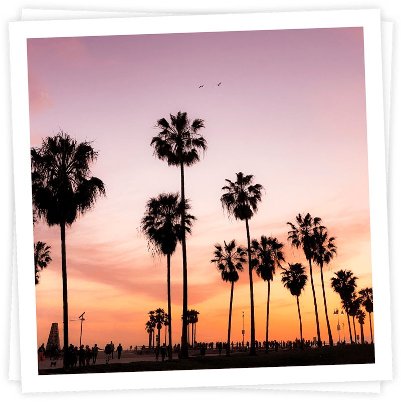 Photo of sunset behind palm streams, a beachy crowd below Photo of sunset behind palm streams, a beachy crowd below